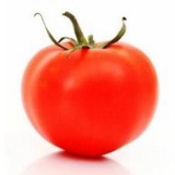 Tondo Liscio B Paradicsom