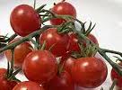 Angora B paradicsom - Image 2