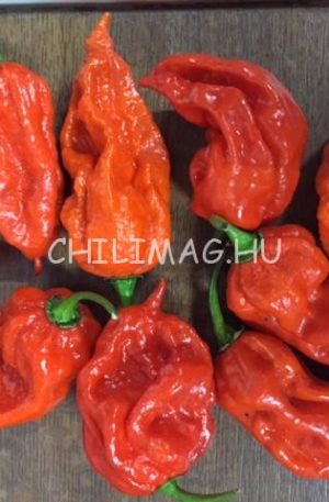 Devil’s Tongue Red