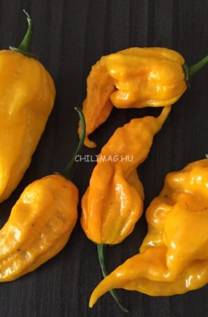 Devil’s Tongue Yellow