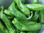 Shishito Chili B-S