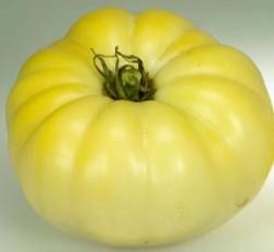 White Beefsteak B Paradicsom