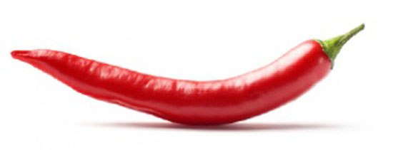 Cabai burong - Chilimag.hu webshop