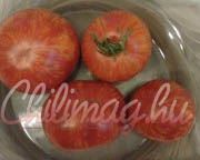 Cote D' Zebra B Paradicsom