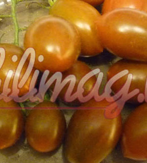 Kumato Cherry B Paradicsom