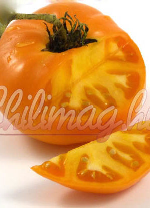 Sweet Ozark Orange B Paradicsom