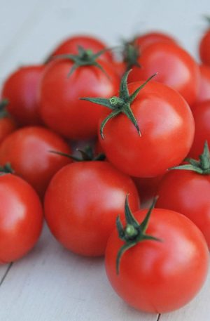 Gardener's Delight B-S Paradicsom