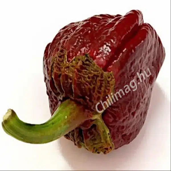 7 pot bubblegum chocolate