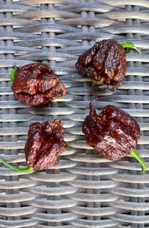 Carolina reaper chocolate