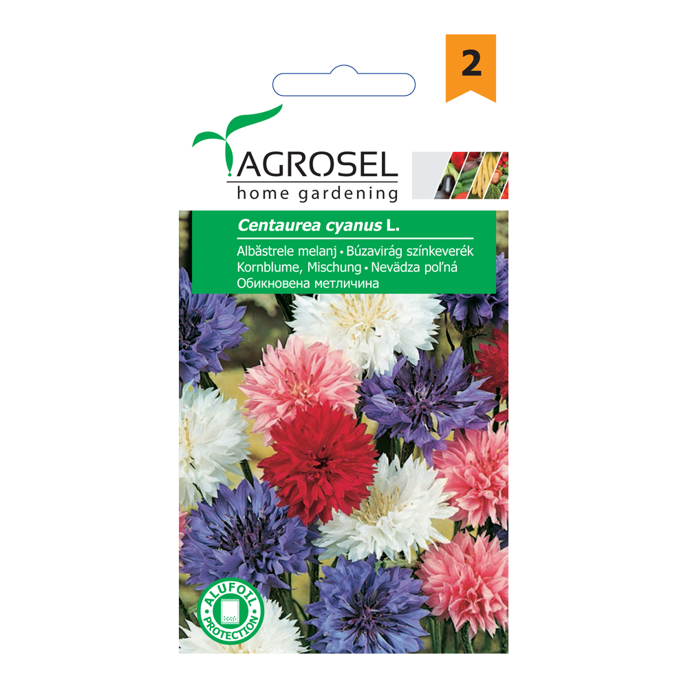 Búzavirág színkeverék Ag 2