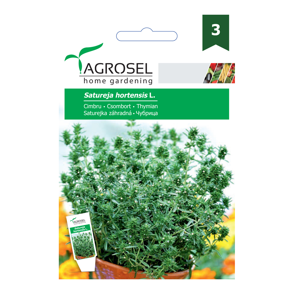 Borsikafű Csombor Satureja hortensis L. Ag 3