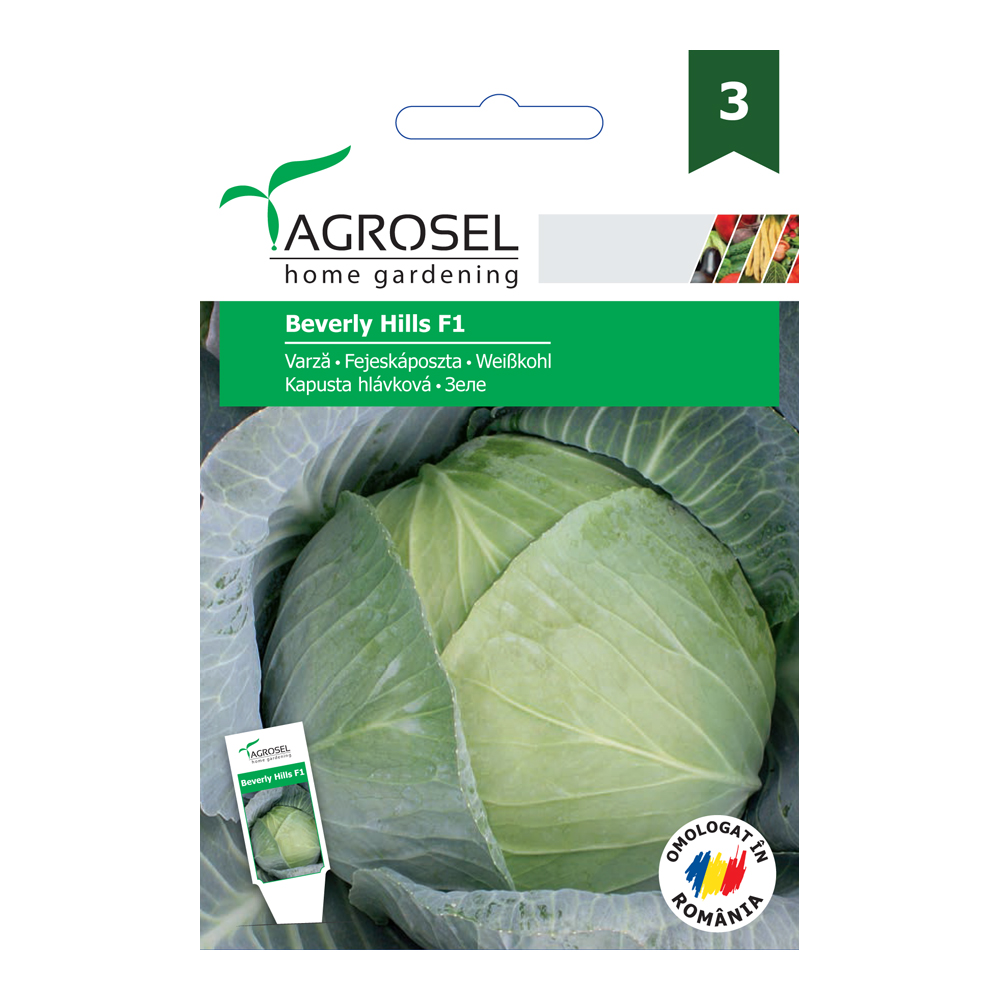 Káposzta Beverly Hills F1 Ag 3