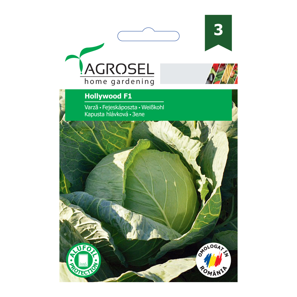 .Káposzta Hollywood F1 Ag 3 2025-év lejáratú