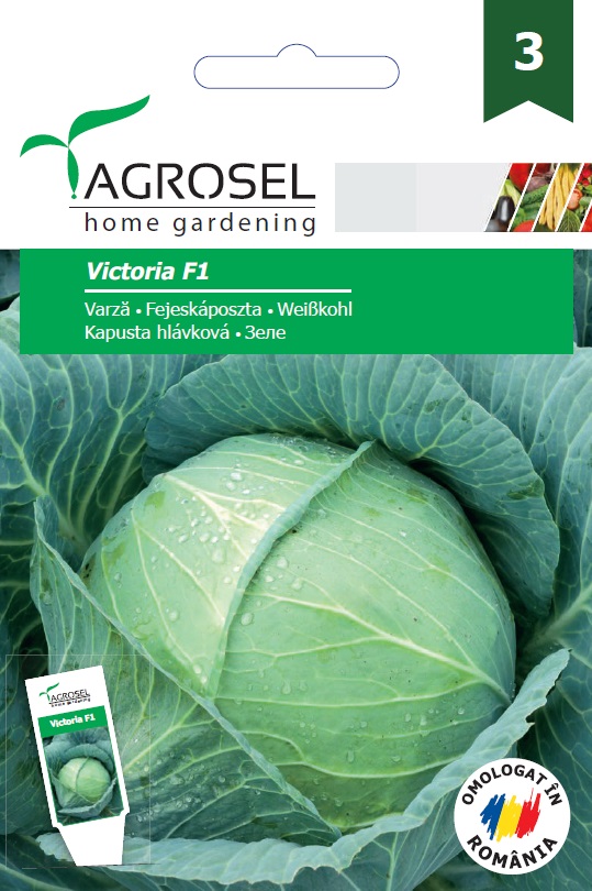 Káposzta Victoria F1 Ag 3