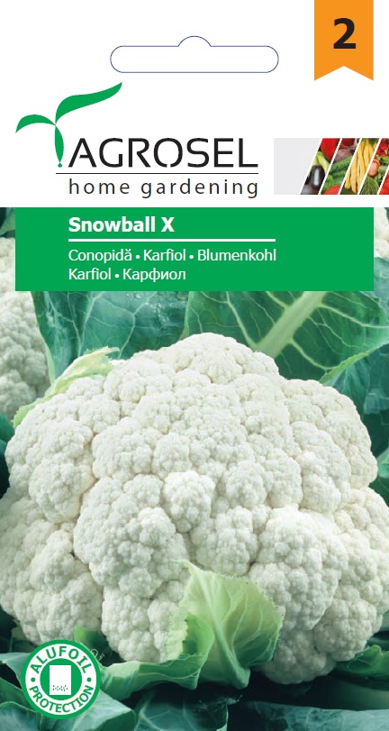 Karfiol Snowball X Ag 2