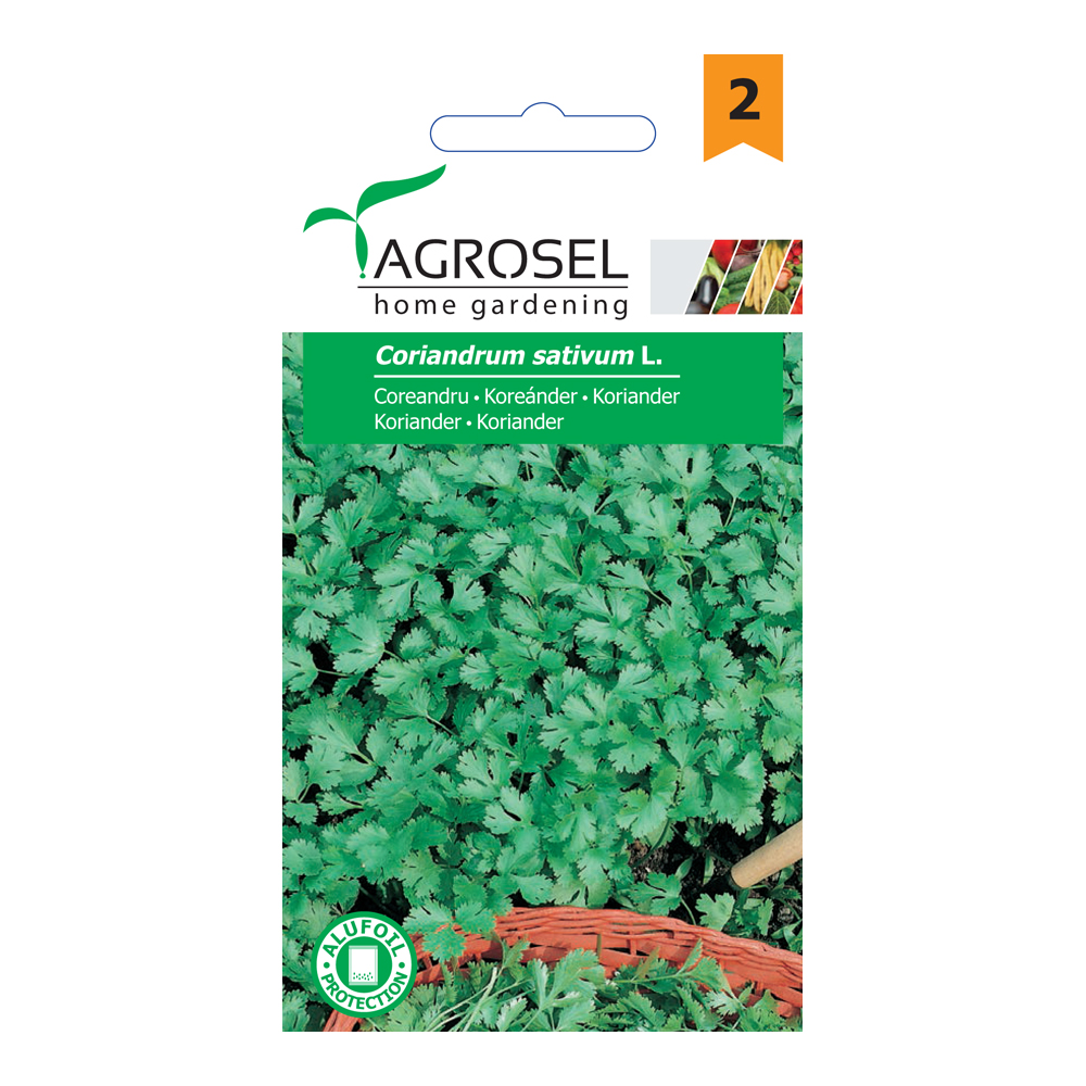 Koriander Coriandrum sativum L. Ag 2