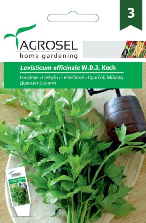 .Lestyán Ag 3 2025-év lejáratú