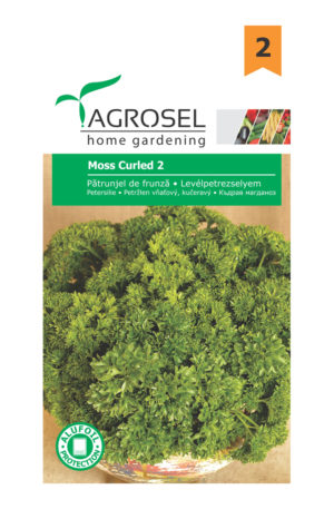 Levélpetrezselyem Moss Curled 2 Ag 2