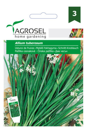 Metélőfokhagyma Allium tuberosum Ag 3