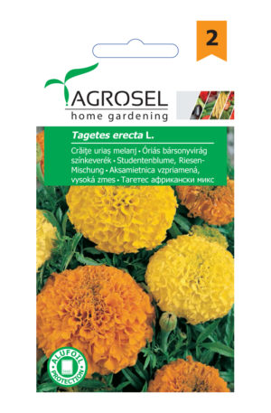 .Bársonyvirág színkeverék óriás Ag 2 2025-év lejáratú