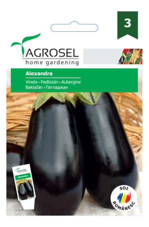 Padlizsán Alexandra Ag 3