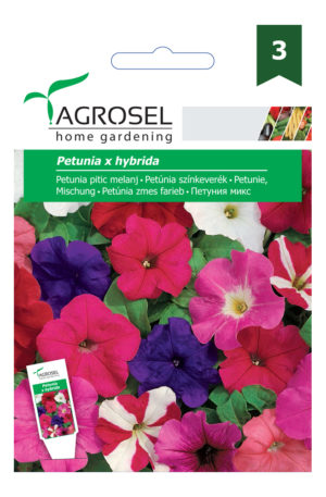 .Petúnia színkeverék Ag 3 2025-év lejáratú