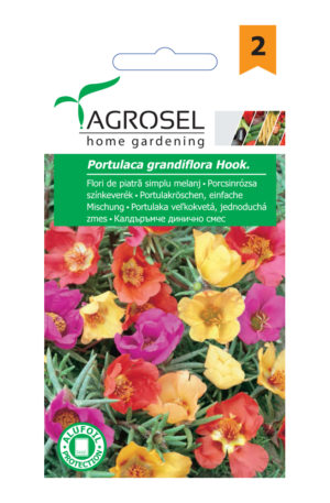 Porcsinrózsa színkeverék Ag 2