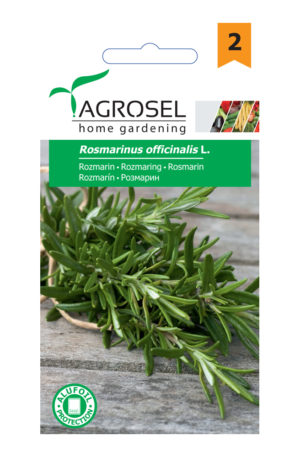 Rozmaring Rosmarinus officinalis L. Ag 2