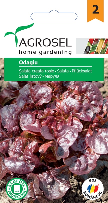 Saláta Odagiu Ag 2