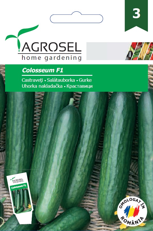 Uborka Colosseum F1 salátauborka Ag 3