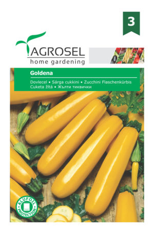 Tök Goldena  cukkini Ag 3