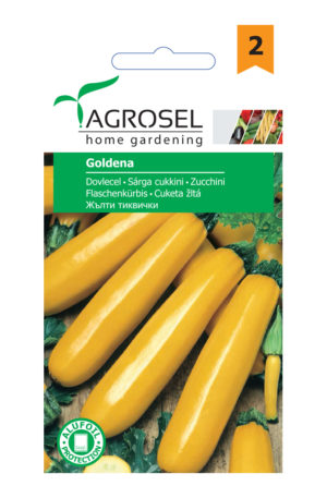 Tök Goldena cukkini Ag 2
