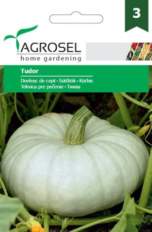 Sütőtök Tudor Ag 3