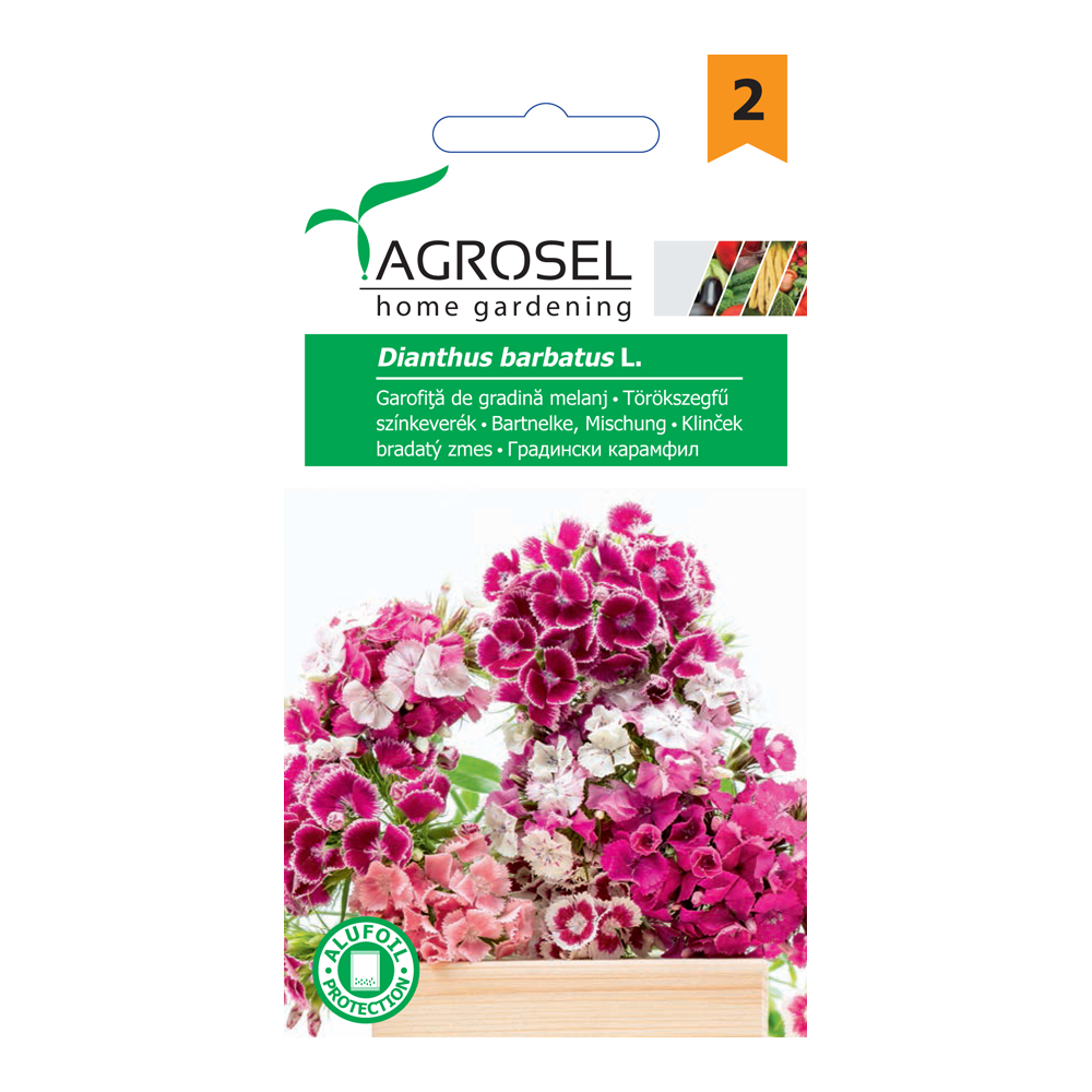 .Török szegfű színkeverék szárú Ag 2 2025-év lejáratú