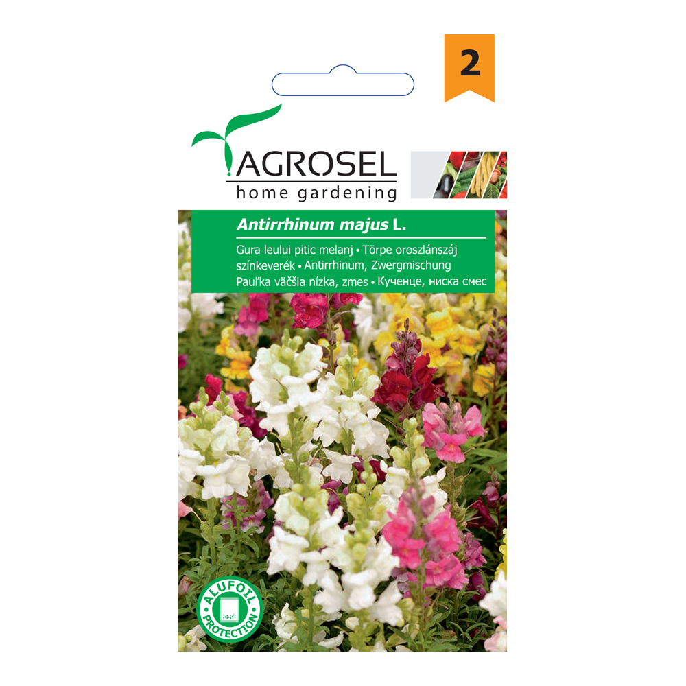 .Törpe tátika színkeverék Ag 2 2025-év lejáratú