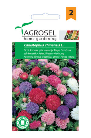 .Törpe őszirózsa színkeverék Ag 2 2025-év lejáratú