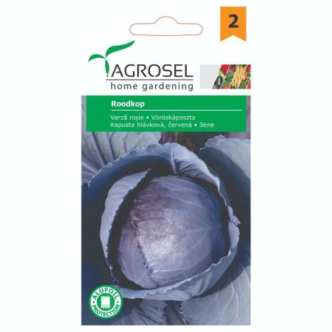 Vörös káposzta Roodkop Ag 2