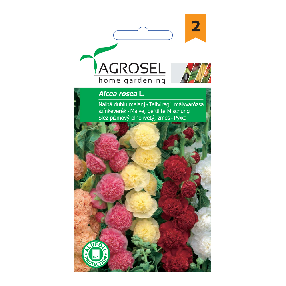 Teltvirágú mályvarózsa színkeverék Ag 2