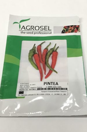 Paprika Pintea Ag Profi