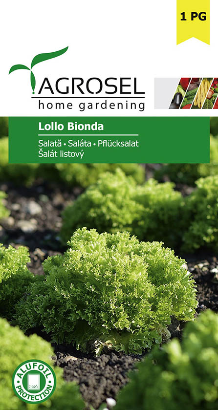 Saláta Lollo Bionda Ag 2