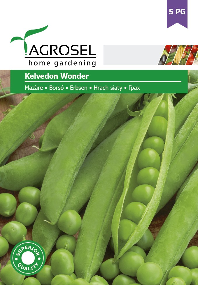 Borso (Kelvedon Wonder) Ag 5