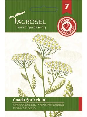 .Cickafark Ag 7 2025-év lejáratú