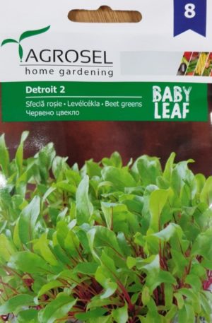 Levél cékla Detroit Baby saláta Ag8