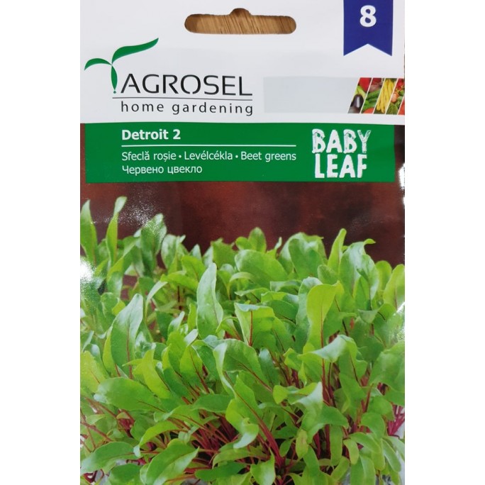 Levél cékla Detroit Baby saláta Ag8