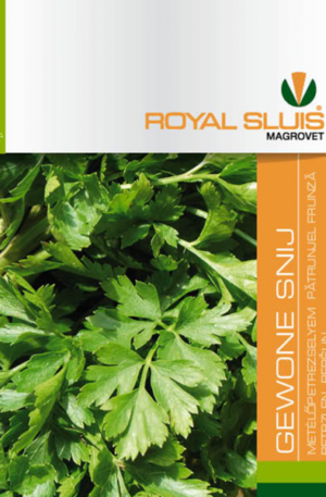 Petrezselyem levél Gewone Snij Royal 1