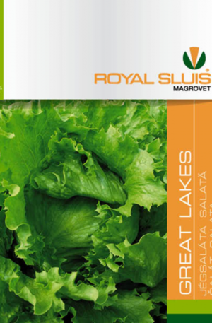 Saláta Great Lakes jégsaláta Royal 1