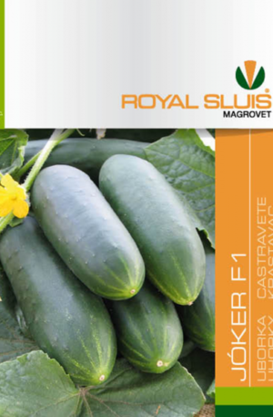 Uborka Jóker F1  Royal 1