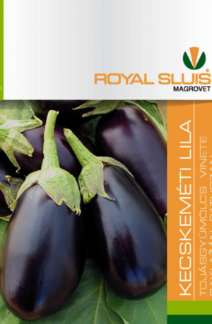 Padlizsán Kecskeméti Lila Royal 1