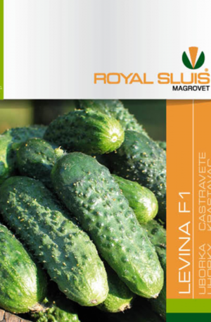 Uborka Levina F1 Royal 1