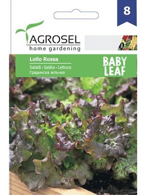 Saláta Lollo rossa Ag8